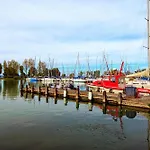 In - Balaton 19832 シオーフォク