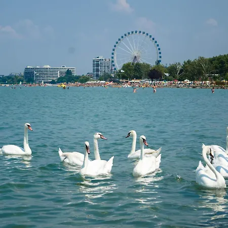 In - Balaton 19832 * Siofok