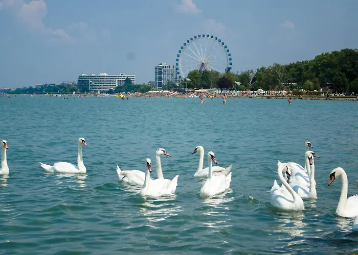 In - Balaton 19832 * Siofok